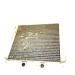 2010 Polaris RZR 800 EFI OEM Radiator 1241480 XP8
