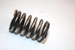 04 Honda Trx250ex A Oem Outer Valve Spring 14751-HN6-000 AHS
