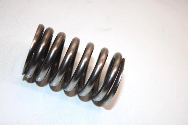 04 Honda Trx250ex A Oem Outer Valve Spring 14751-HN6-000 AHS
