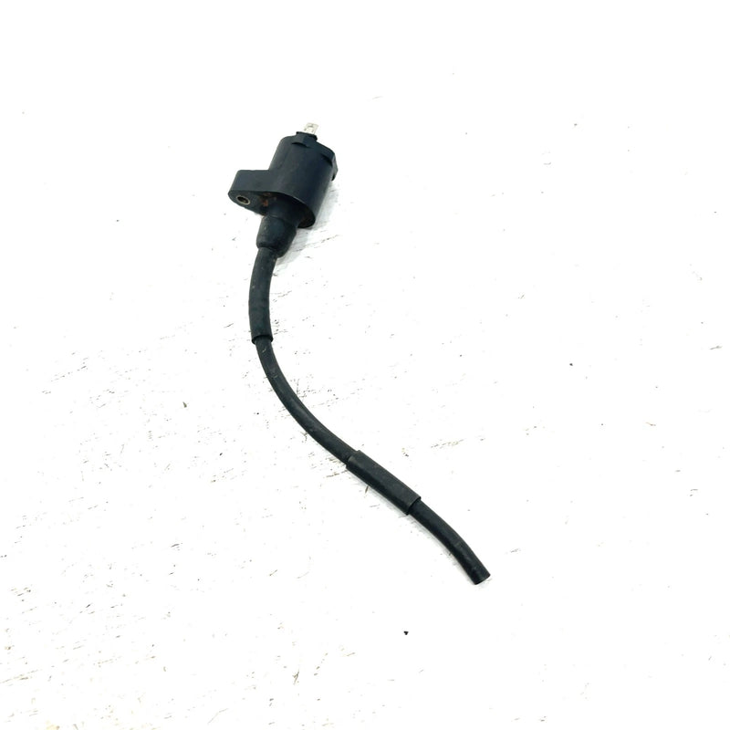 93-06 Honda Sportrax 300 TRX300EX 2x4 OEM Ignition Coil 30510-GR2-405 AH81