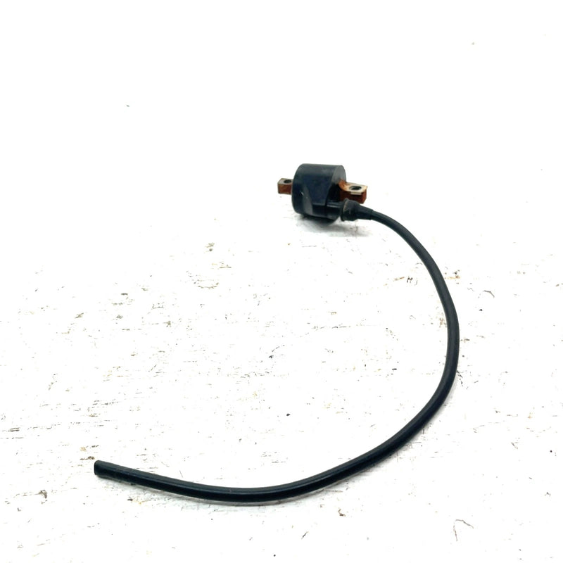 90-06 Polaris Trail Blazer 250 OEM Ignition Coil 3083923 AP224