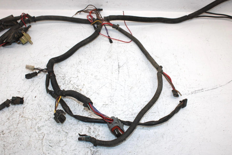 2002 Polaris Sportsman 700 Oem Main Harness 2460936 AP184