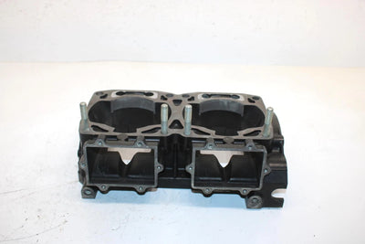 06 Arctic Cat Zr 900 Sno Pro Efi Oem Upper Crankcase Half 3006-460 SAS3