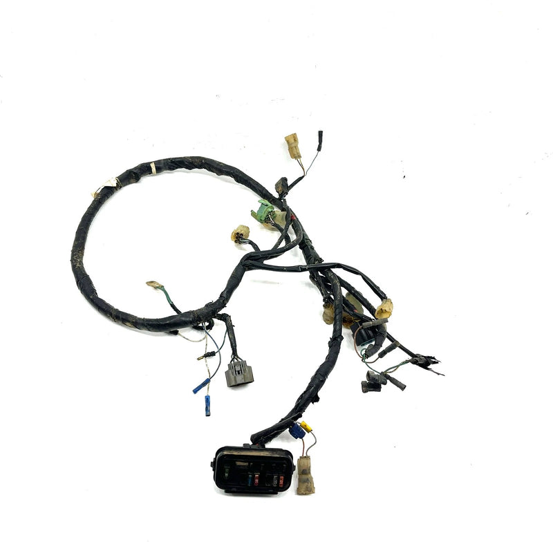 2002 Honda Rancher 350 OEM Main Wire Harness 32100-HN5-670 AH47