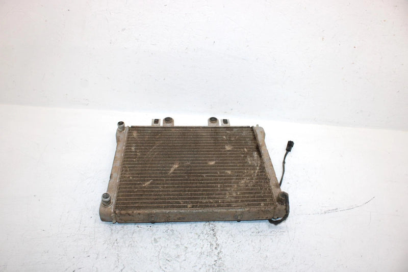 2002 Polaris Sportsman 700 Oem Radiater 1240103 1240534 AP184