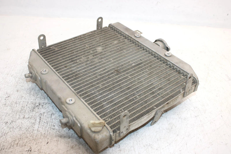 2002 Honda Foreman Rubicon Oem Radiator 19010-HN2-505 AH36