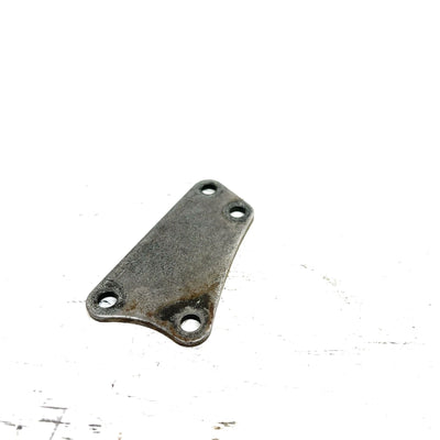 96-99 Honda FourTrax 300 TRX300FW 4x4 OEM Front Case Plate 21504-HC5-000 AH45