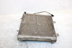 2001 Polaris Sportsman 400 Oem Radiater 1240045 1240533 AP178