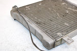 2001 Polaris Magnum 500 Oem Radiator W/Screen 1240533 5433317 AP121
