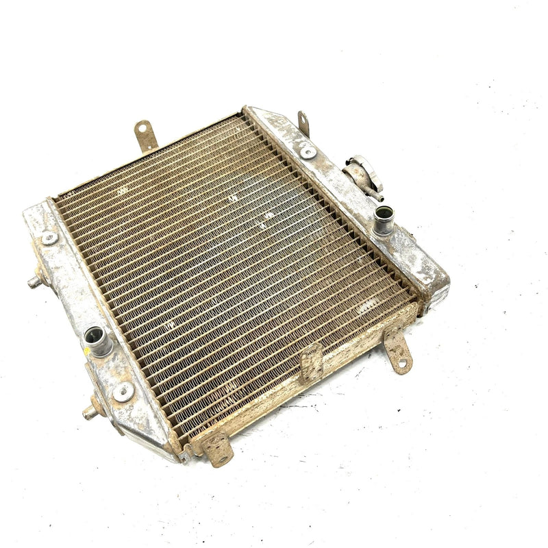 02 Honda Foreman Rubicon 500 TRX500 4x4 OEM Radiator Assembly 19010-HN2-505 AH85