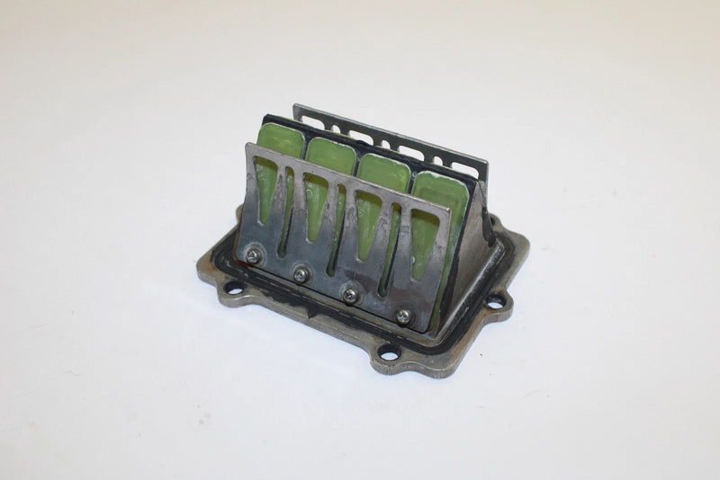 Polaris OEM Complete Stock Fuel Intake Reed Valve 1201689 Q1190