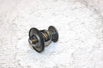 2000 Ski-doo Mxz 600 Oem Thermostat 414834100 420922519 SS0