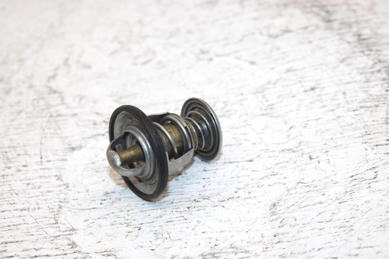 2000 Ski-doo Mxz 600 Oem Thermostat 414834100 420922519 SS0