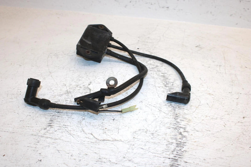 1996 Polaris 500 Oem Ignition Coil 3085053 SP12