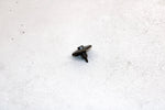 Polaris Oem Exhaust Power Valve Cap 5631152 5631687 Q964
