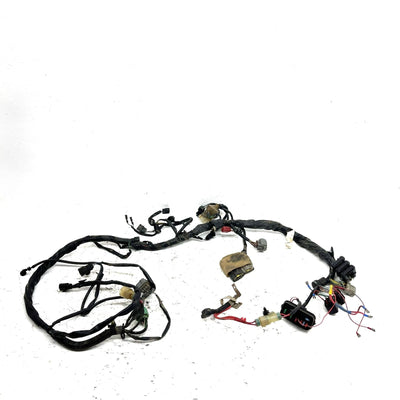 2009 Honda Rancher 420 TRX420FE ES OEM Main Wire Harness 32100-HP5-A51 AH76