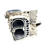 05-06 Polaris Sportsman 800 EFI OEM Crankcase 2202864 AP188