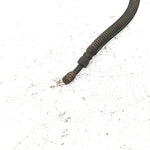 96 Yamaha Big Bear 350 YFM350FW 4x4 OEM Brake Hose 2 3HN-25873-03-00 AY55