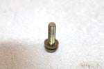 97 Polaris Sport Oem Oil Pump Screw And Washer 3083783 SP167