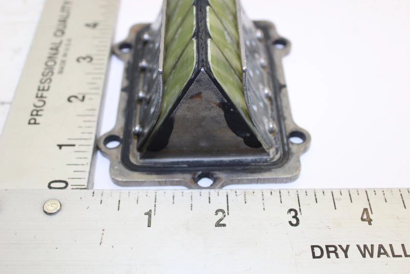 Polaris OEM Complete Stock Fuel Intake Reed Valve 1201689 Q1190