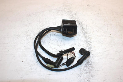 1996 Polaris 500 Oem Ignition Coil 3085053 SP12