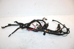 2001 Polaris Xplorer Oem Taillight Assembly 2432034 AP90