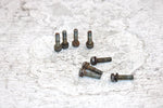 1995 Arctic Cat Z 440 Oem Float Bowl Screw Set Of 8 6505-014 SA13