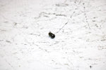 2001 Ski-doo Mxz 800 Oem Choke Set Screw 404161910 SS19