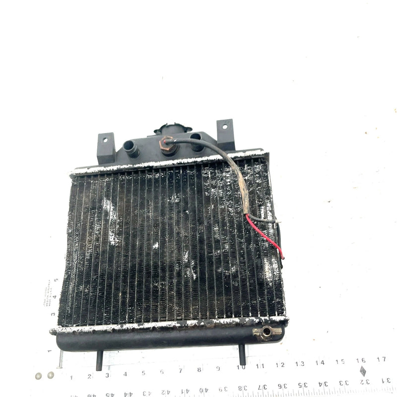 90-93 Polaris Trail Boss 350L 4X4 OEM Radiator 1240006 AP233