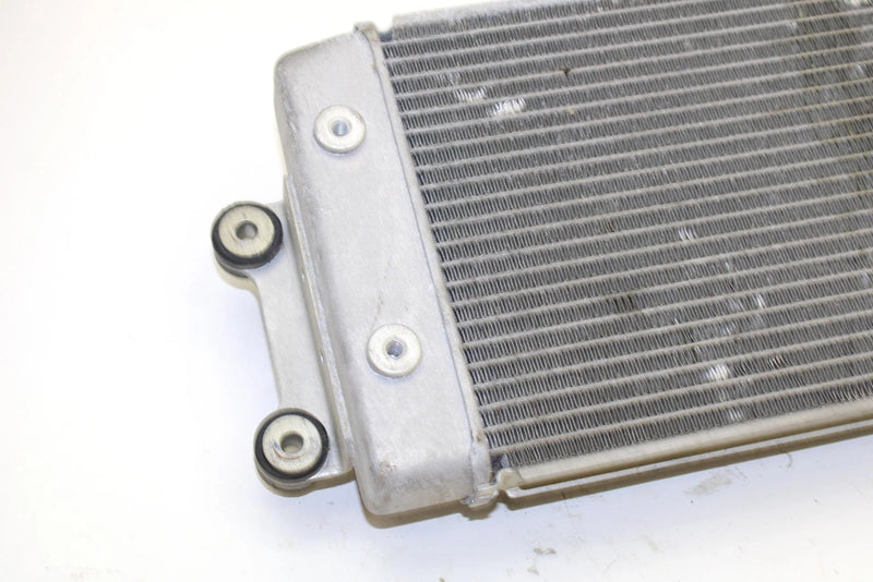 Yamaha Oem Engine Radiator 8GL-12461-00-00 B371