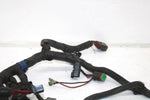 Ski-doo Oem Main Wiring Harness 515175879 B124