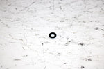 2001 Ski-doo Mxz 800 Oem Air Fuel Screw Washer 404161896 404161895 SS19