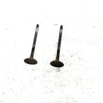 95-98 Polaris Magnum 425 4X4 OEM Exhaust Valve Pair 3085412 AP232
