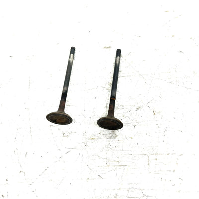 95-98 Polaris Magnum 425 4X4 OEM Exhaust Valve Pair 3085412 AP232