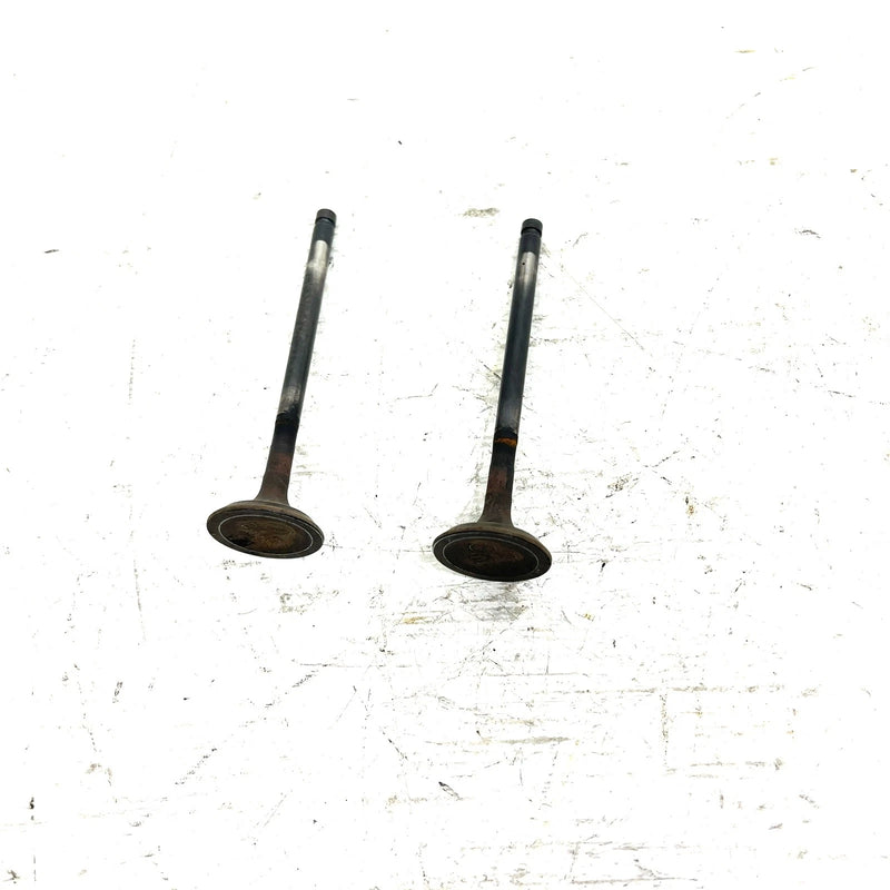 95-98 Polaris Magnum 425 4X4 OEM Exhaust Valve Pair 3085412 AP232