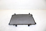 2002 Kawasaki Prairie 650 Oem Radiater Screen 14037-1283 AK27