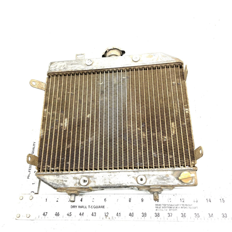 02 Honda Foreman Rubicon 500 TRX500 4x4 OEM Radiator Assembly 19010-HN2-505 AH85