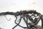2006 Polaris Sportsman 500 Oem Main Wire Harness 2410613 2410961 AP186