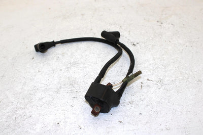 1995 Arctic Cat Z 440 Oem Ignition Coil 3005-185 SA5
