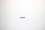 1997 Ski-doo Vmax 700 Sx Oem Carburetor Plunger Spring 2N3-14135-00-00 Q4664