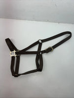 New Brown Nylon Full Horse Halter Gold Buckles NN-600
