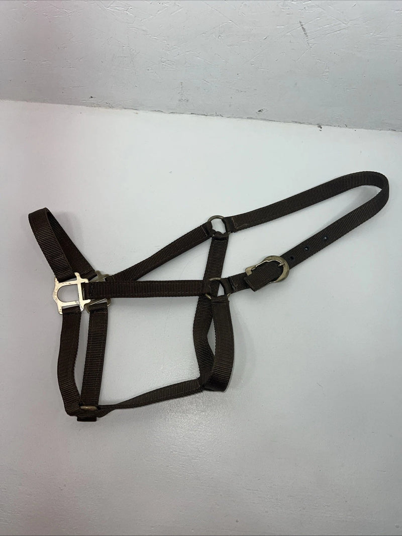 New Brown Nylon Full Horse Halter Gold Buckles NN-600