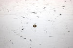 2001 Ski-doo Mxz 800 Oem Carb Needle Spacer 404137600 SS19 