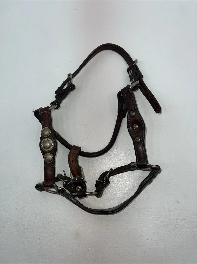 New Circle S Leather Yearling Show Halter Silver Buckles 3C-14