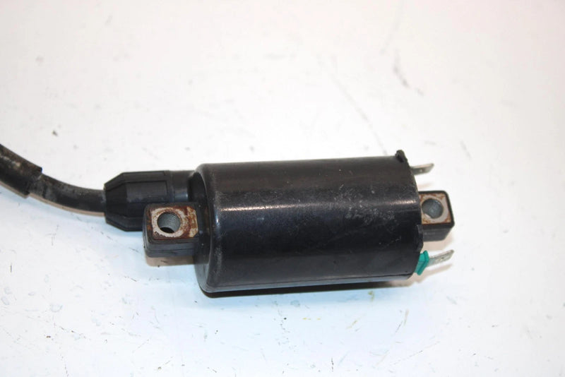 08 Arctic Cat Atv 250 Utility 2x4  Oem Ignition Coil 3303-830 AA13