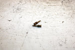 1995 Arctic Cat Z 440 Oem Air/Fuel Screw Pair 6505-019 SA13