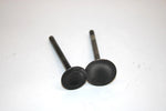 86 Kawasaki Bayou 300 Klf300a Oem Intake/Exhaust Valve (Pair) 12004-1123 AK6