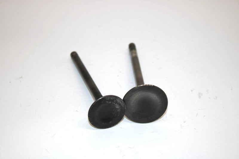 86 Kawasaki Bayou 300 Klf300a Oem Intake/Exhaust Valve (Pair) 12004-1123 AK6