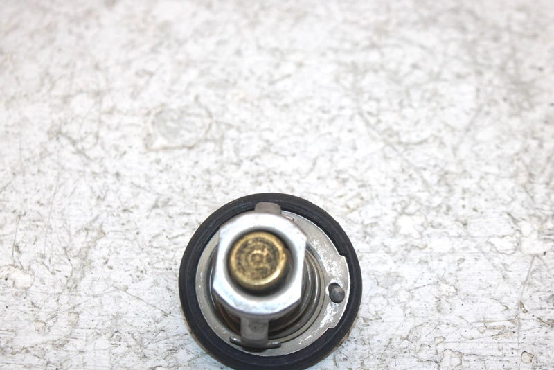 2002 Honda Foreman Rubicon 500 Oem Thermostat 19300-HN2-003 AH53