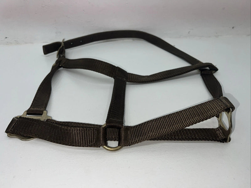 New Brown Nylon Full Horse Halter Gold Buckles NN-600